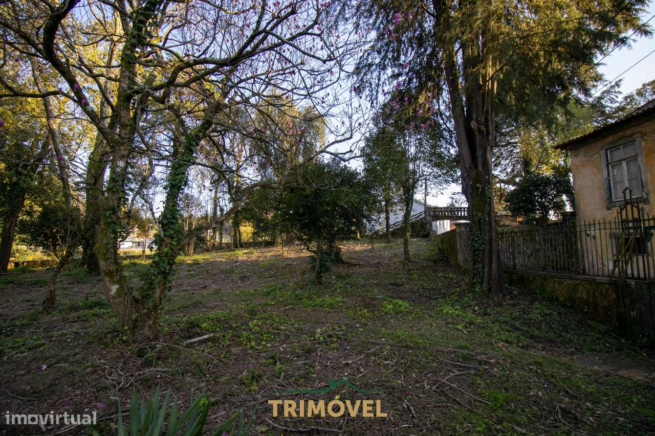 Quinta Secular  em  Santiago de Riba-Ul, Oliveira de Azeméis - Grande imagem: 5/34