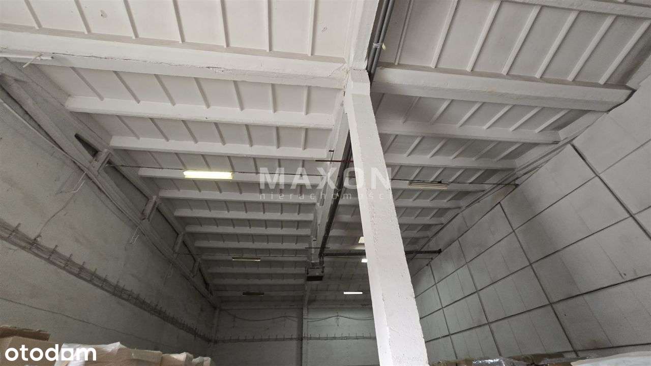 Wynajęty kompleks magazynowy, - Pełny obrazek: 5/12