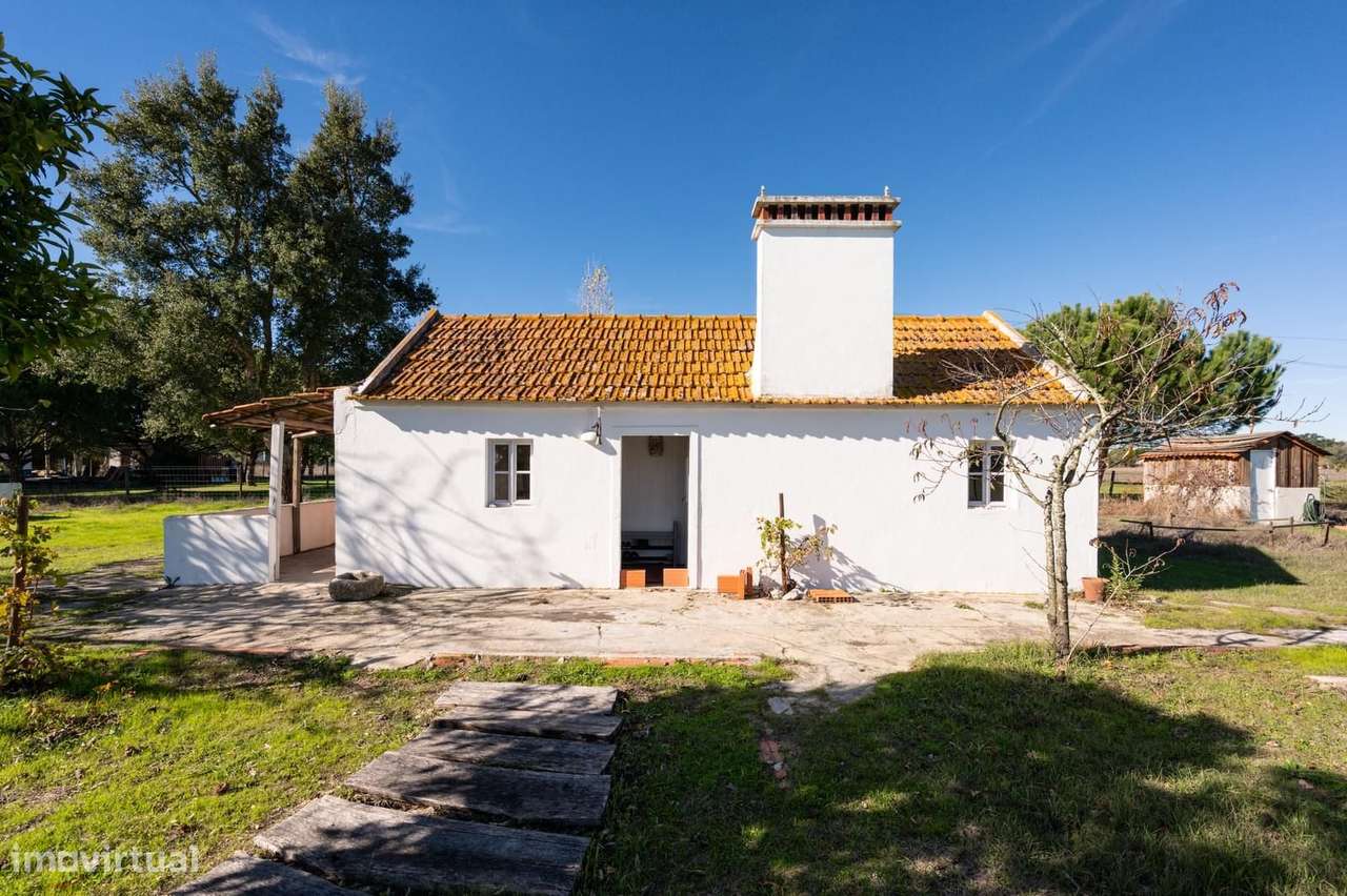 Terreno Misto 1.2 ha, Grandola - Grande imagem: 2/26