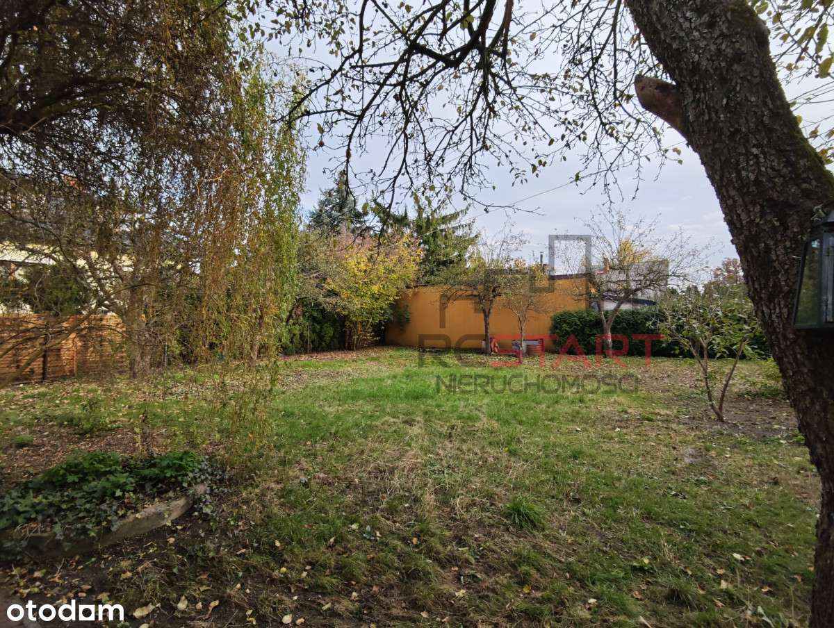 Dom w okolicy lasu - Pełny obrazek: 5/15