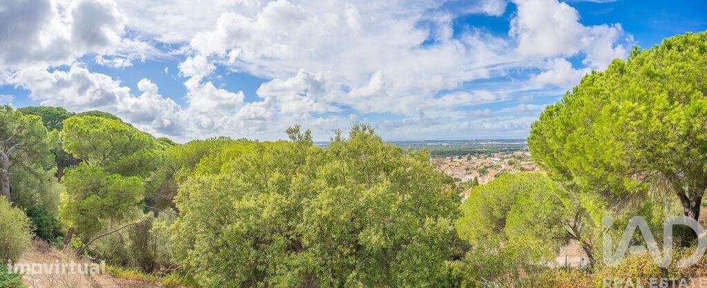 Quinta T14 em Quinta do Anjo de 1000,00 m2 - Grande imagem: 2/29