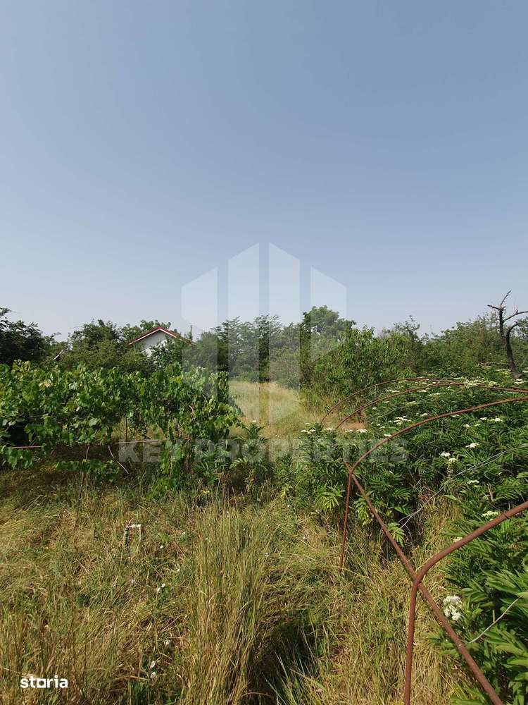 Samurcasi, str. Guliei, casa parter cu teren - 2431 mp-3
