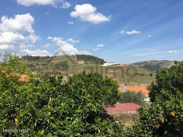 Casa com Terreno em Vilarinho de Cotas, Douro-18
