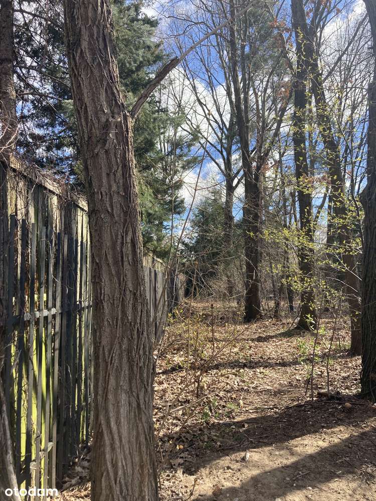 Działka, 646 m², Warszawa - Pełny obrazek: 3/10