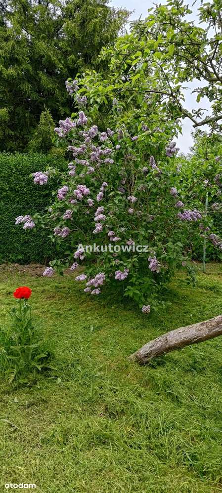 Działka ROD Barbara-4