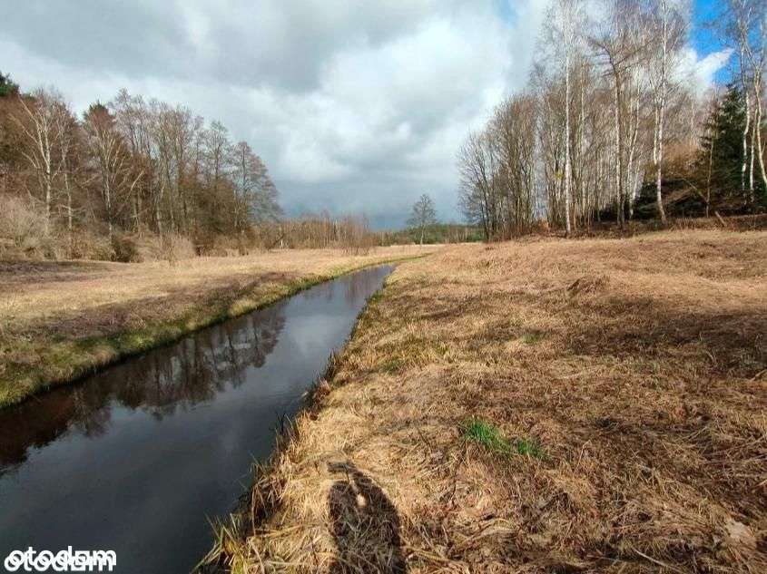 Czersk działka blisko centrum 2,5ha siedlisko Nowa Cena! - Pełny obrazek: 4/10