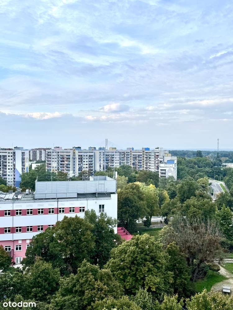 Ul. Modra- 3 pok z funkcjonalnym rozkładem. Tramwaj-11