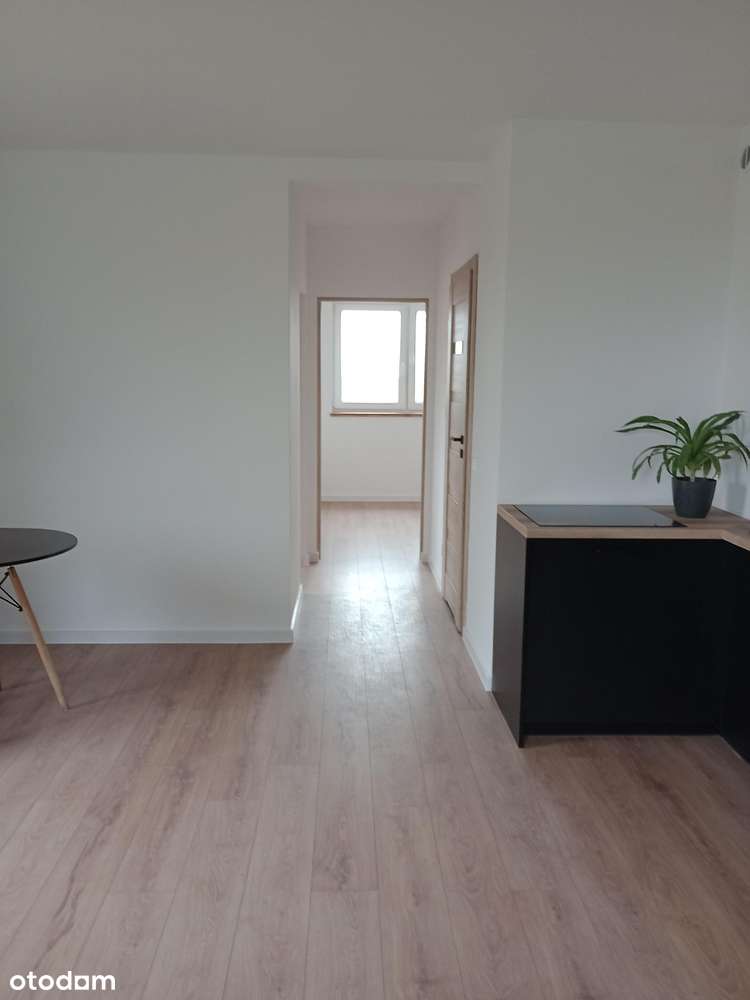 Do wynajęcia apartament 3 pokojowy  w nowej inwestycji - Pełny obrazek: 2/6