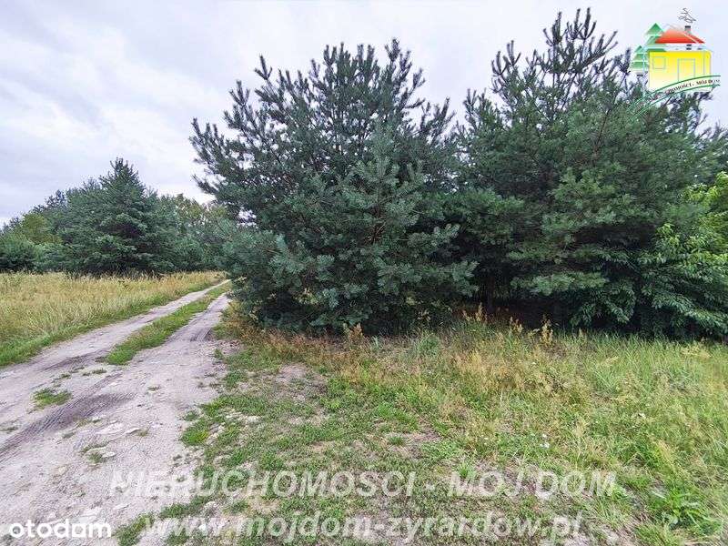 Działka budowlana w atrakcyjnej cenie - Pełny obrazek: 4/6