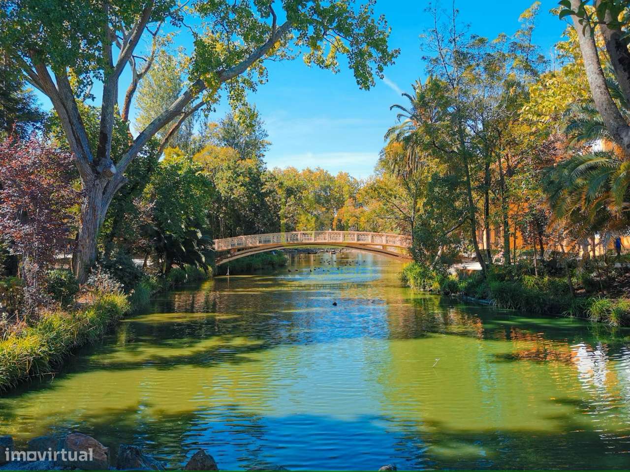 Apartamento T2 em Aveiro-13