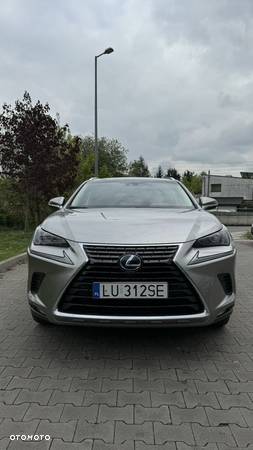 Lexus NX 300h E-FOUR Business Line - 12