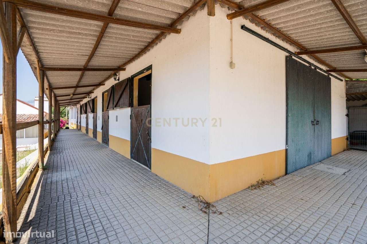Quinta Equestre a 45 minutos de Lisboa-14