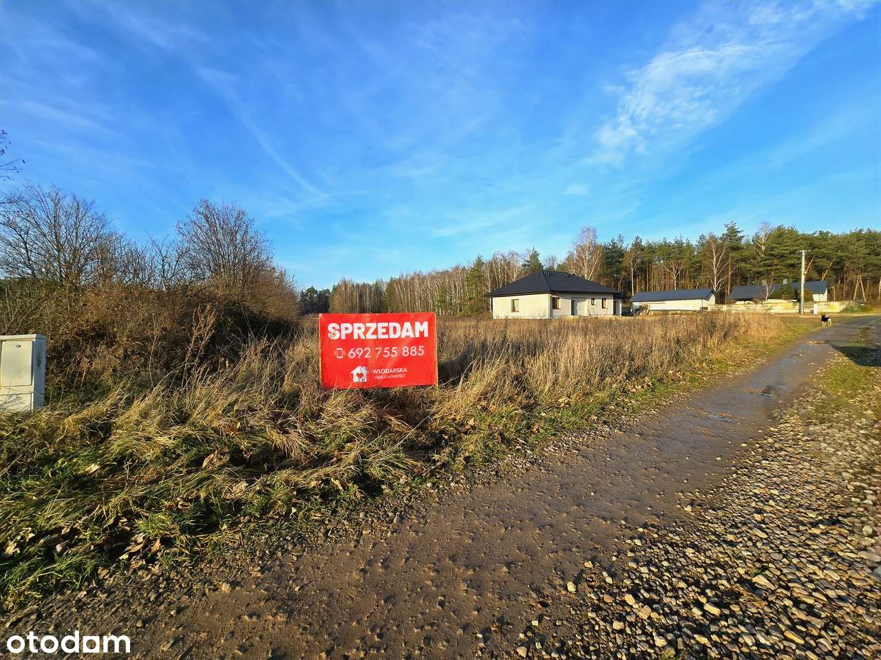 Działki budowlane przy lesie 1343 m2 | media | przy drodze asfaltowej-11