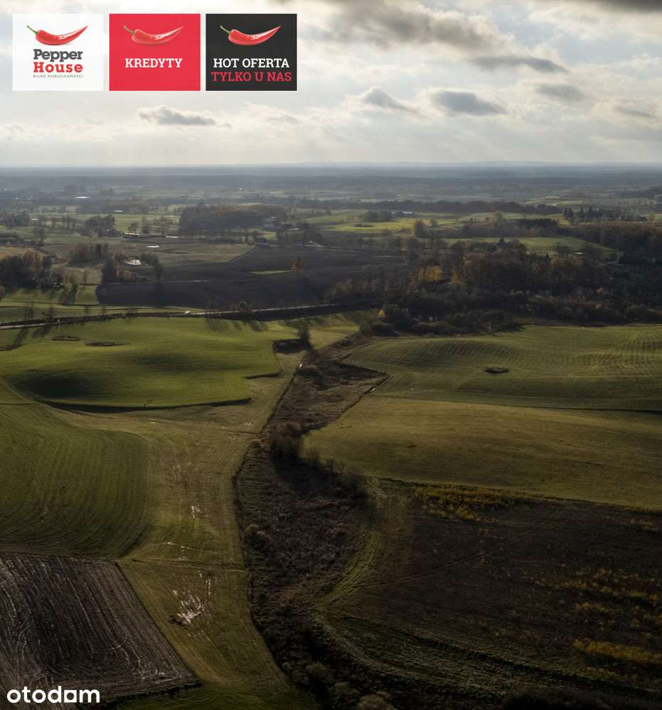 Niedamowo działka 4900 m2  200 m od jeziora - Pełny obrazek: 5/7