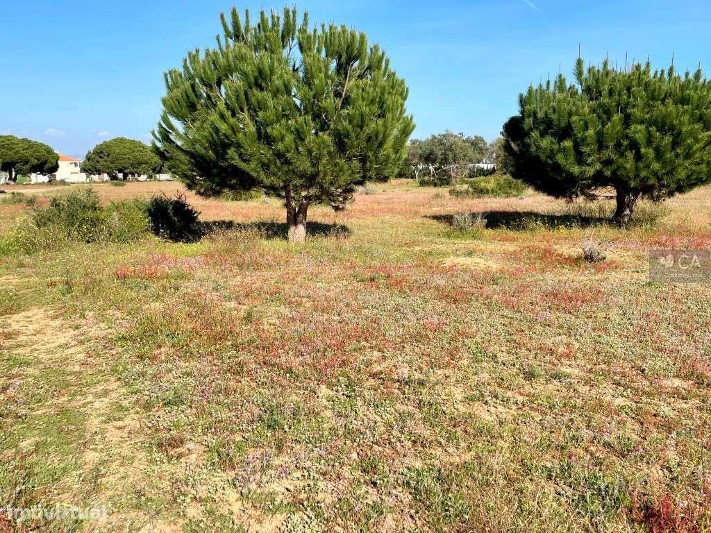 Terreno Misto com 10,4 ha em Vale Carro de Baixo, Albufeira-6