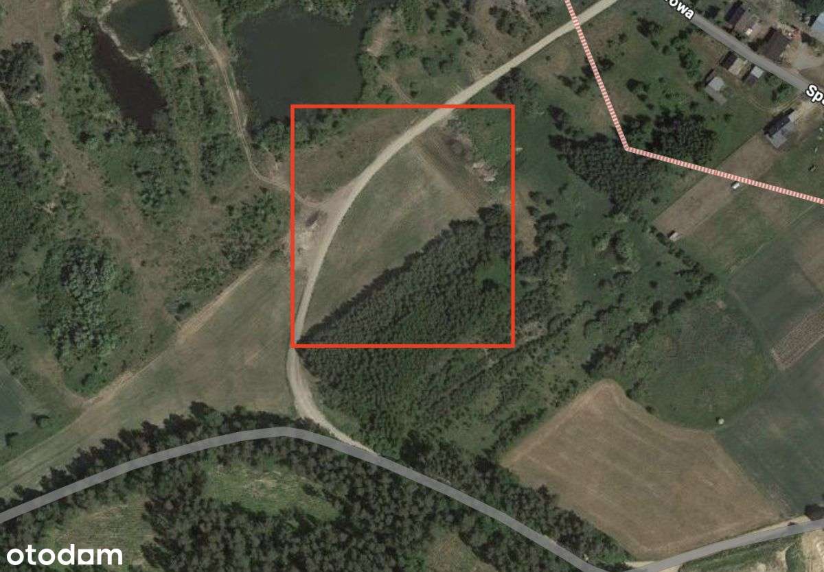 Sprzedaż 3 działki Trąbki Wielkie-0