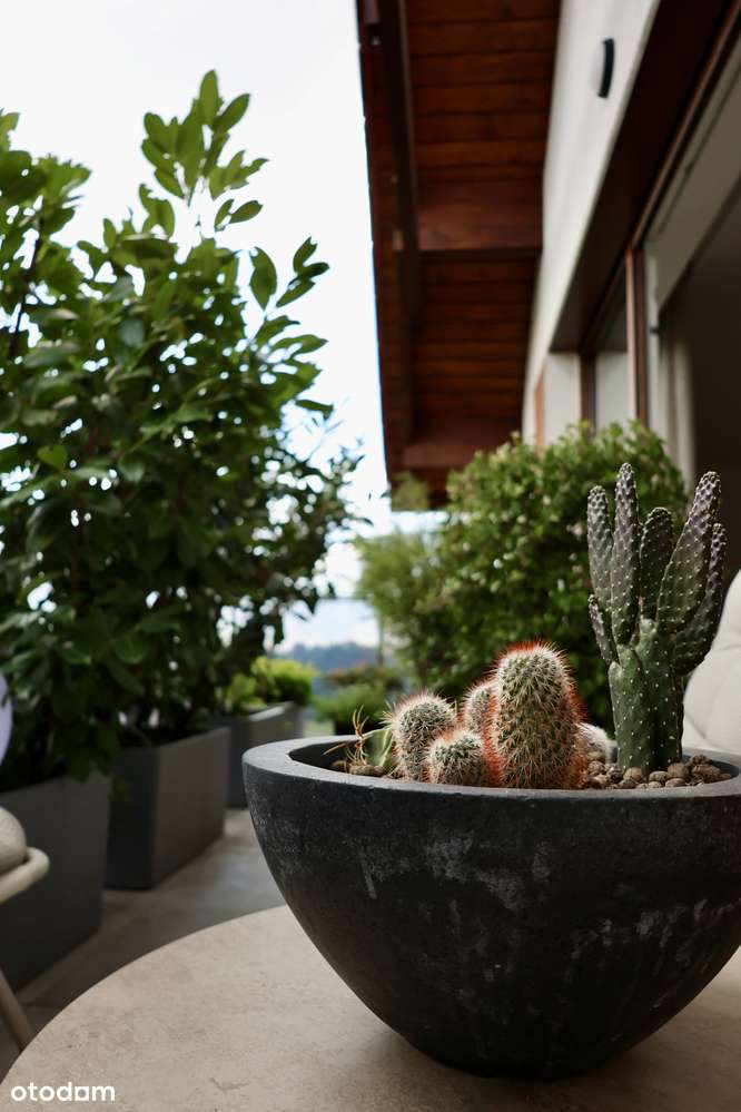 4 - pok mieszkanie w Osielsku- zakup bez prowizji-17