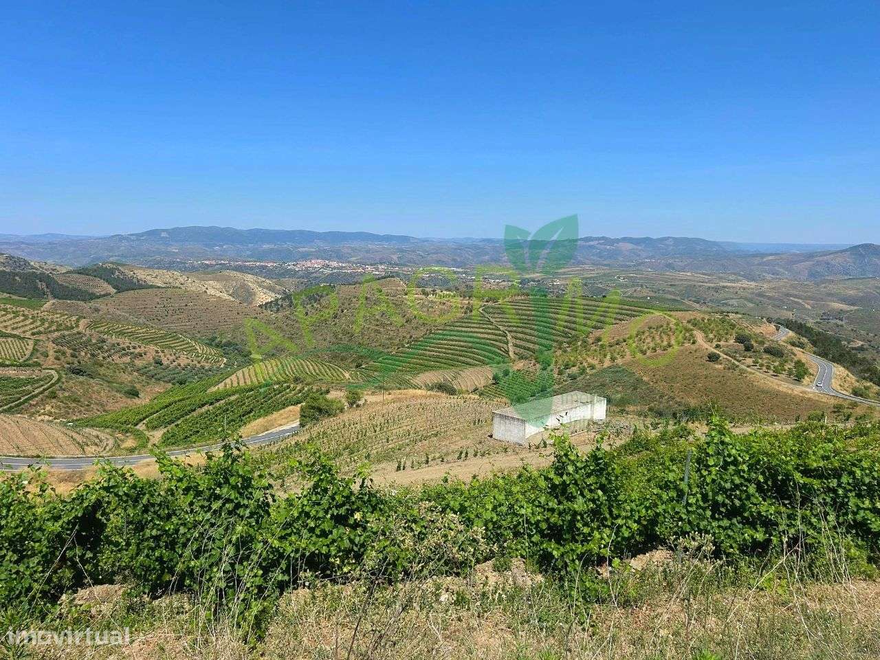 Quinta no Douro Superior , Freixo de Numão - Grande imagem: 4/9