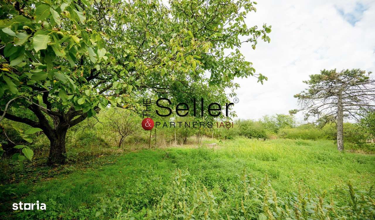 Teren 2.557 mp plan, langa pădurea Galata-0