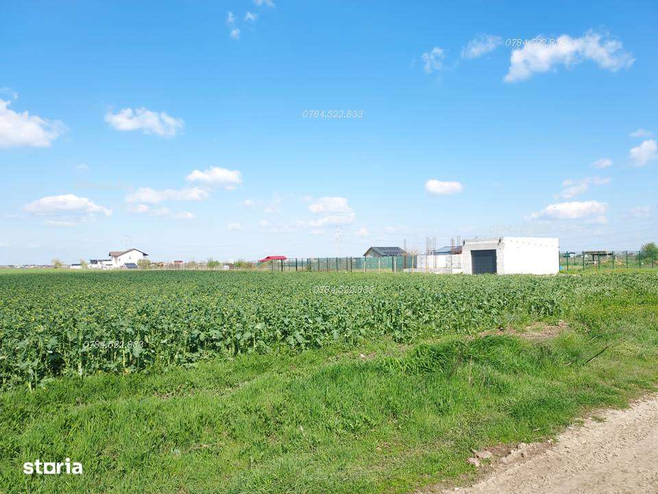 Teren intravilan 539 mp Berceni, Ilfov – RATE 36 luni, avans mic - Imagine principală: 2/6