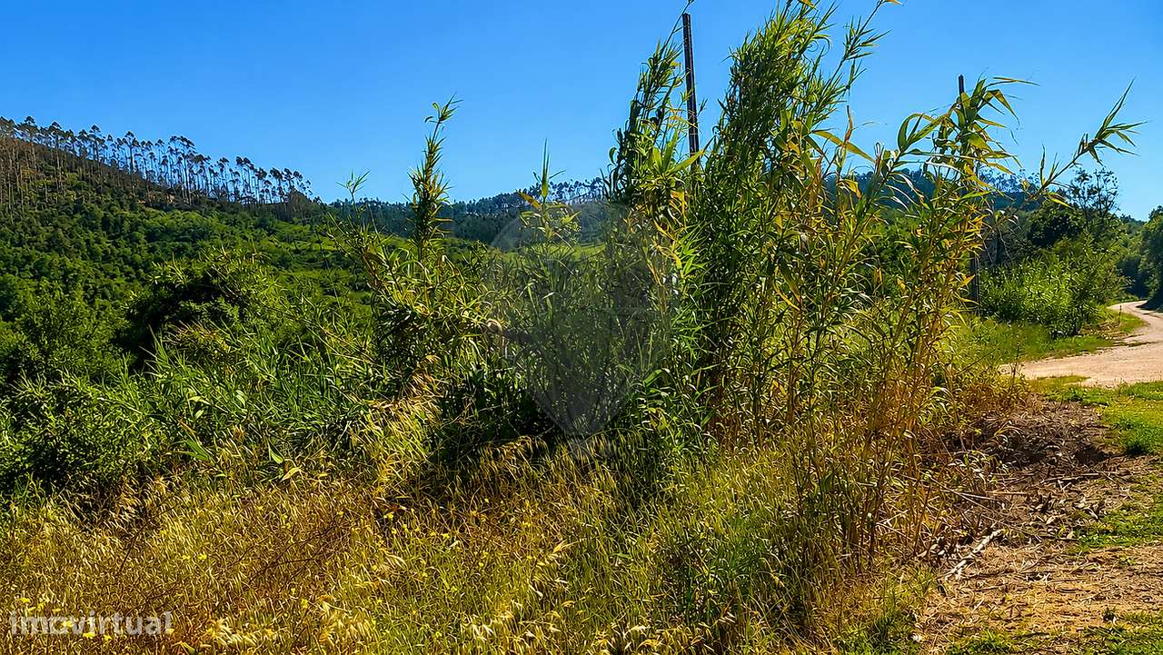 Terreno  para venda-10