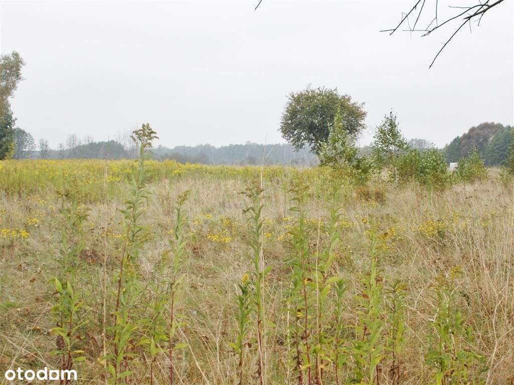 Działka Budowlana Z Warunkami Zabudowy.-4