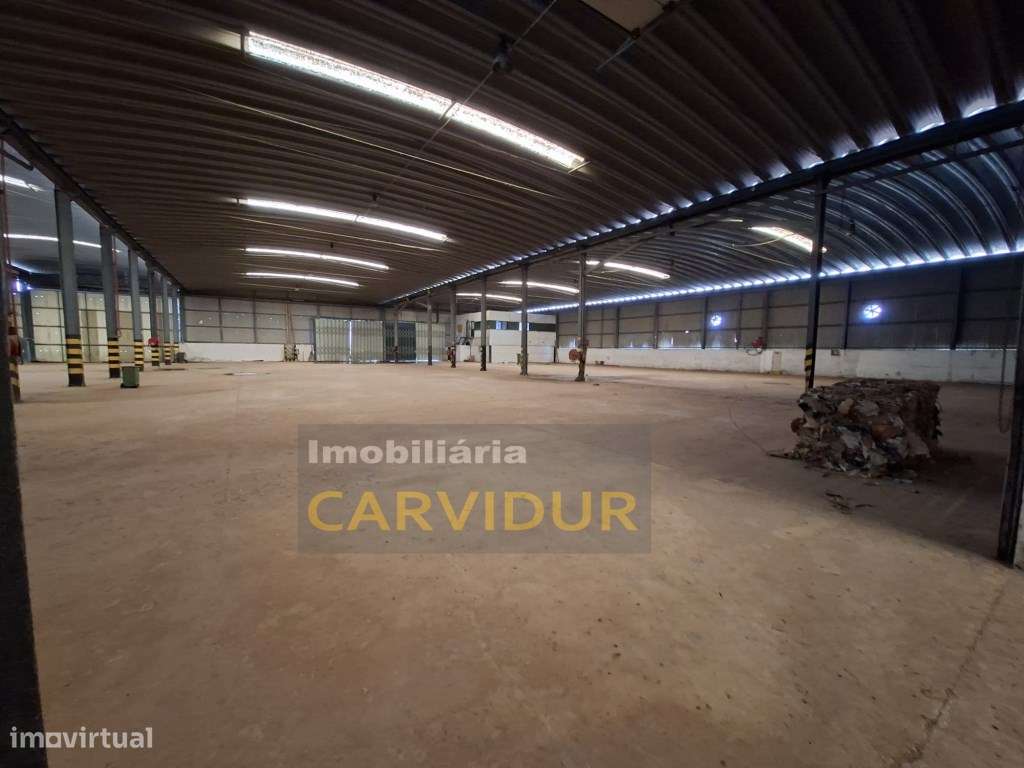 Armazém Industrial de Grande Dimensão - Parque Industrial da Mitren...-24