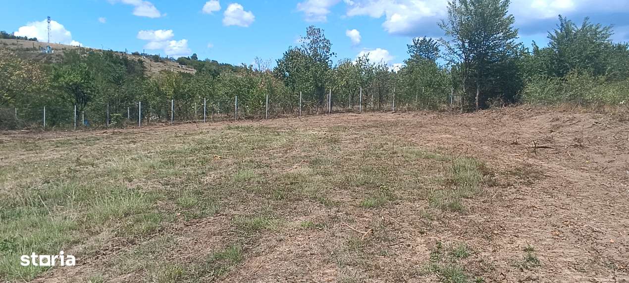 Terenuri cu suprafete intre 500 si 1500 mp in Baicoi, zona Liliesti.-7