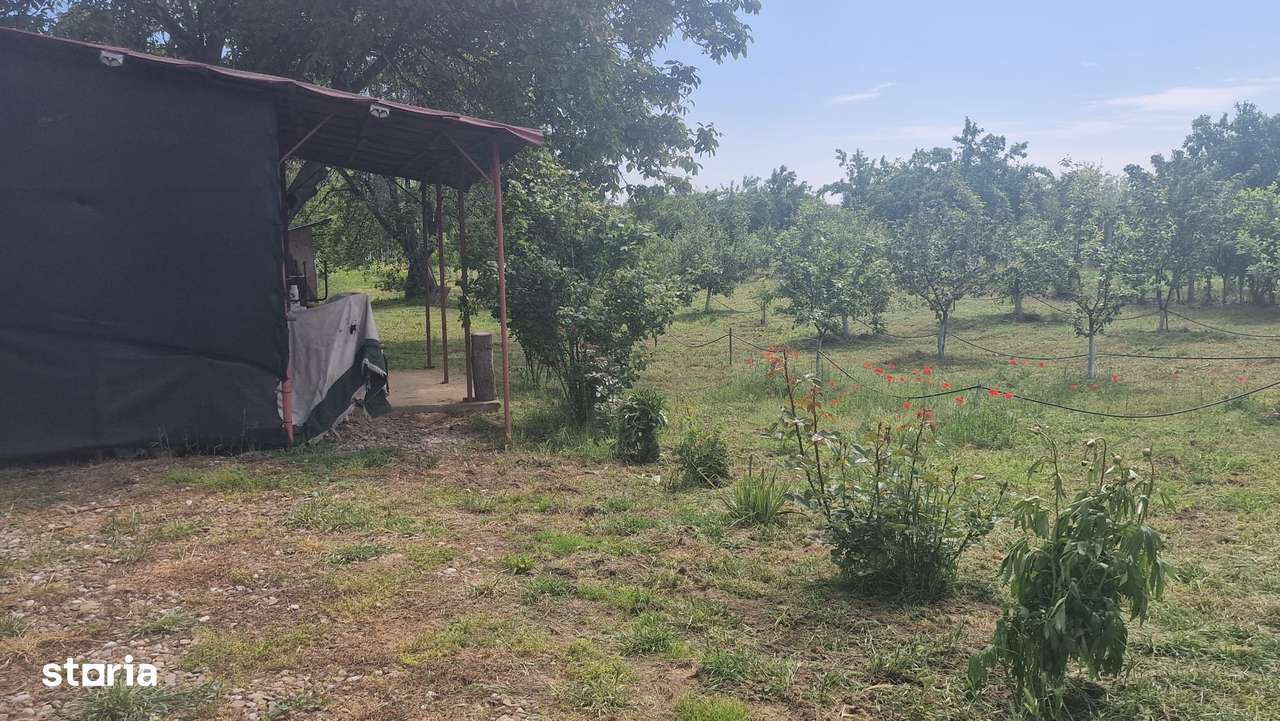 Teren 2550 mp , com Vernesti, Niscov - Imagine principală: 3/3