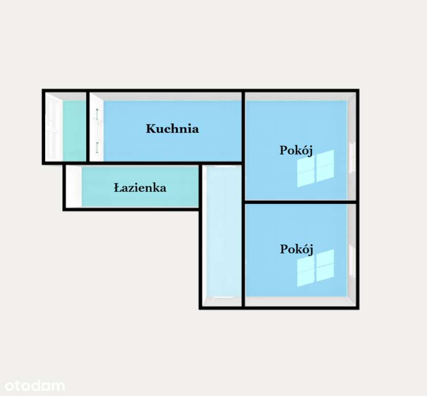 2M| KAMIENICA_oddzielna kuchnia_balkon_piwnica| TYLKO U NAS!-6