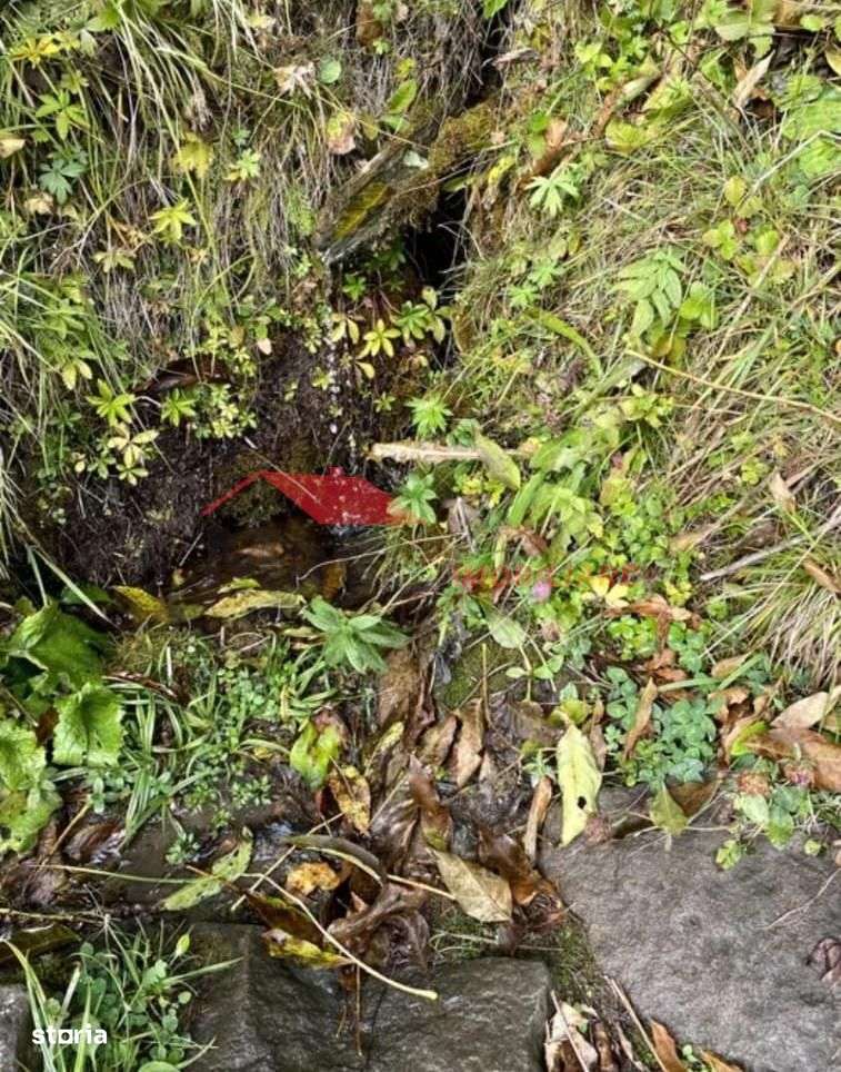 Teren intravilan, Lunca Ilvei - Imagine principală: 3/5