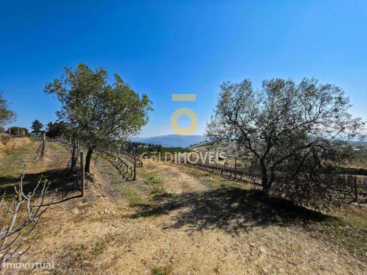 Quinta  Venda em São Mamede de Ribatua,Alijó - Grande imagem: 2/6
