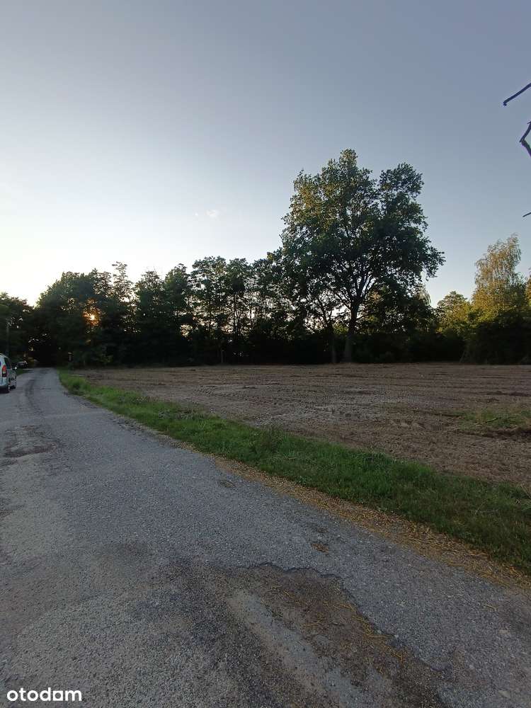 Puszcza Kampinoska. Kępiaste. Działka pod zabudowę siedliskową. - Pełny obrazek: 3/5