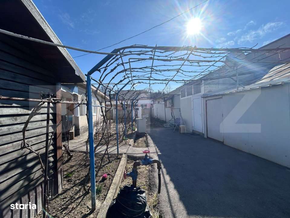 4 spatii comerciale, divizate curte comuna, Bazda lui Novac - Imagine principală: 5/6