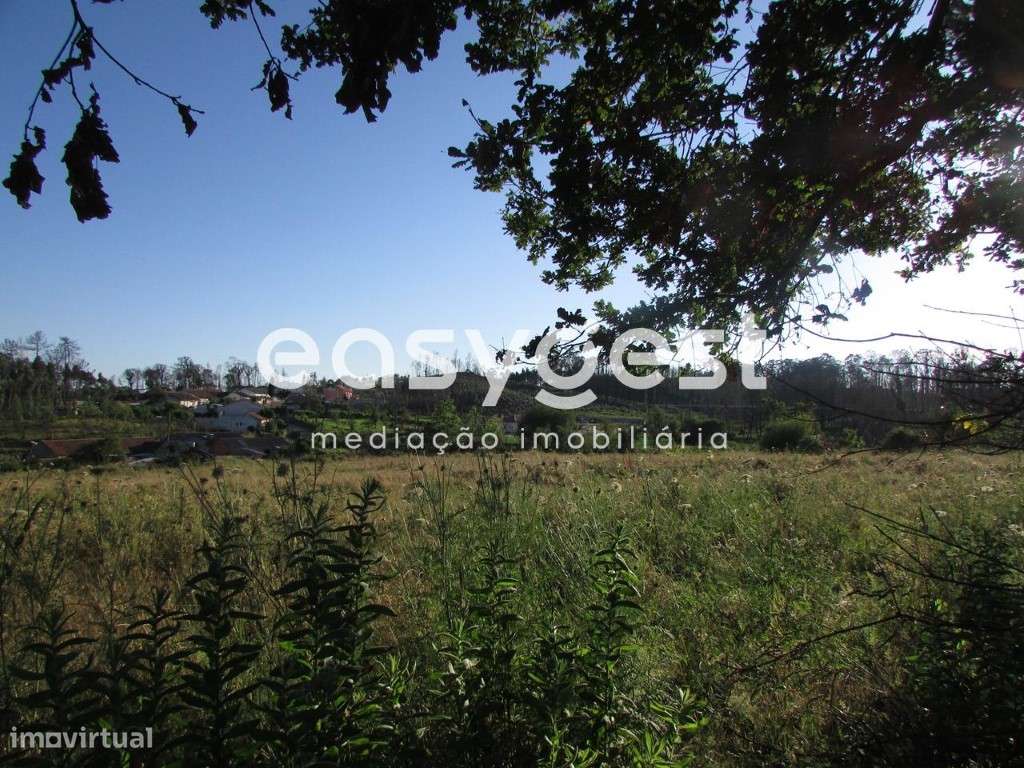 Terreno misto com 30 metros de frente em Aveiro (Carregal) - Grande imagem: 2/10