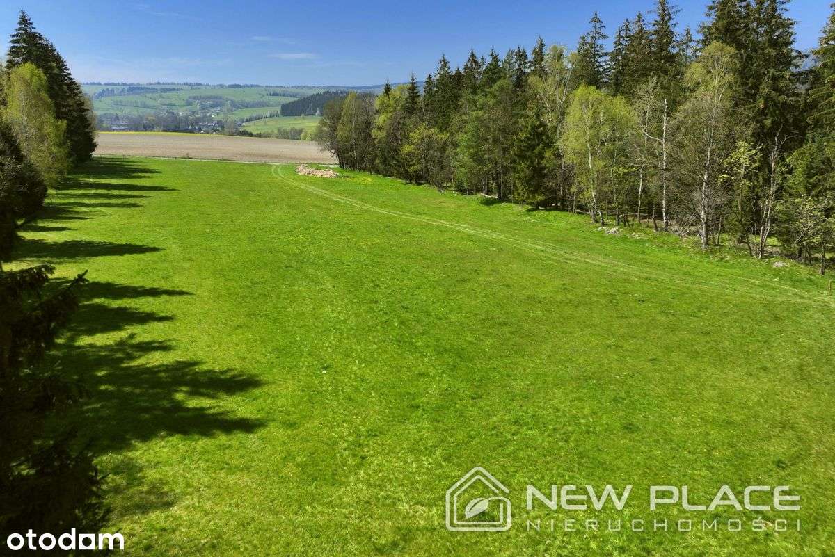 Obniżka! Z Mpzp, widok Gór Stołowych, Złotno - Pełny obrazek: 2/15