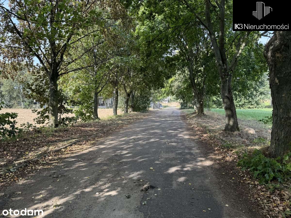 Działka Budowlana Siemiątkowo, Ul. Padlewskiego - Pełny obrazek: 4/10