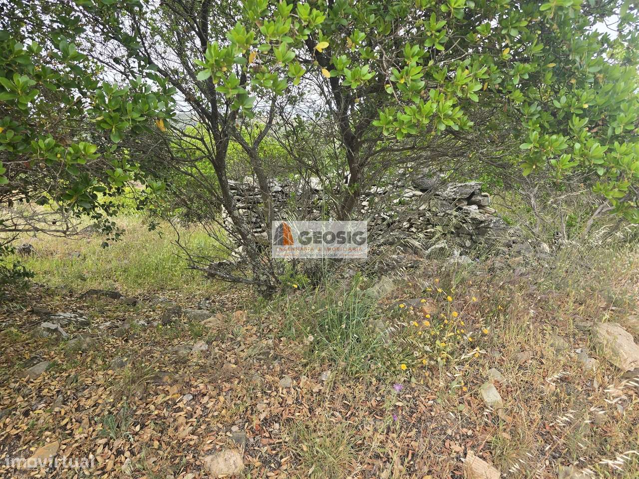 Moradia T4 Venda em São Barnabé,Almodôvar-41