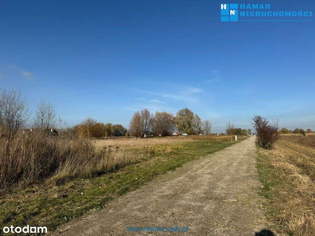 Duża działka blisko autostrady A2 !!!-1