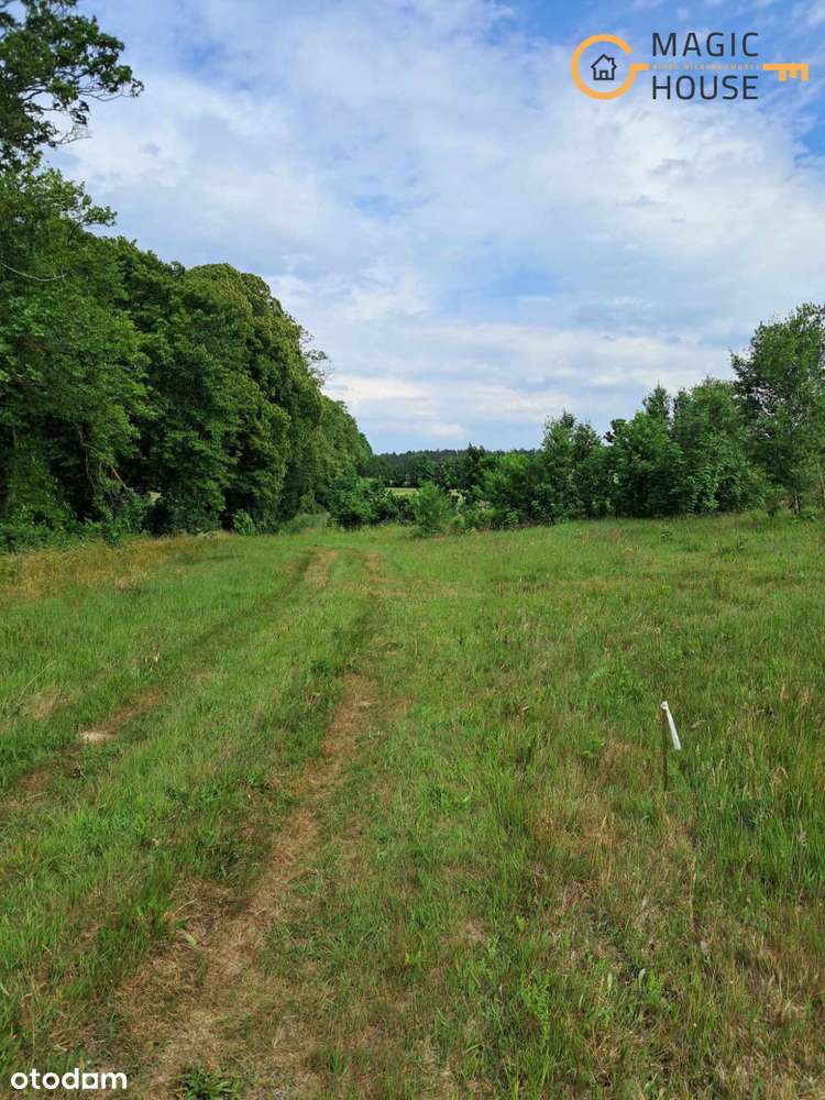 Działka rolna z własnym lasem w Mierzynie!