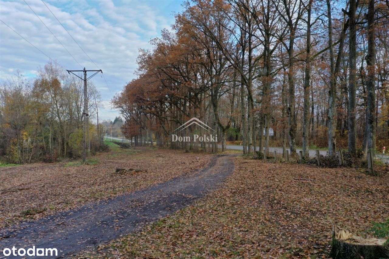 Działki budowlane 1245 m2 - Osiedle Siejnik II - Pełny obrazek: 5/16