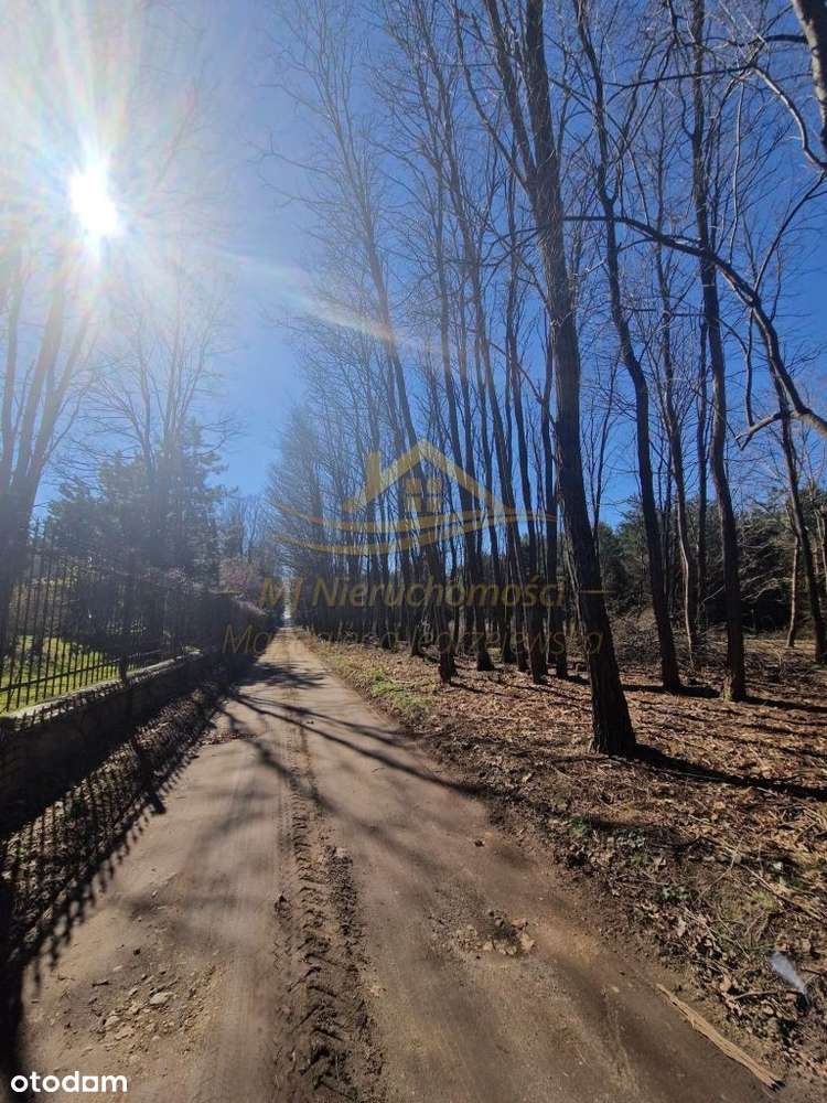 Działka rolno leśna winnica Dwórzno !-5