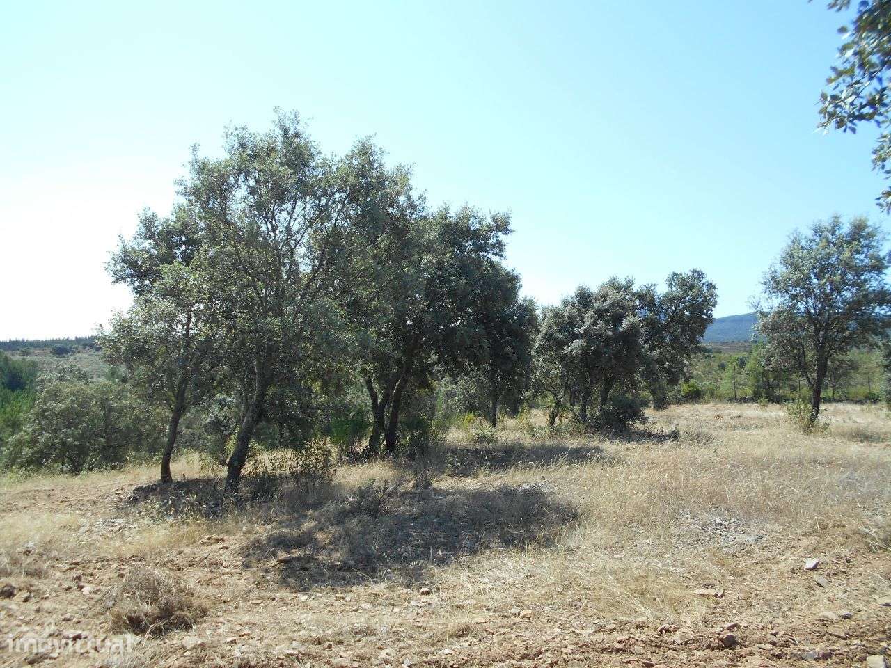 Terreno - Grande imagem: 3/7