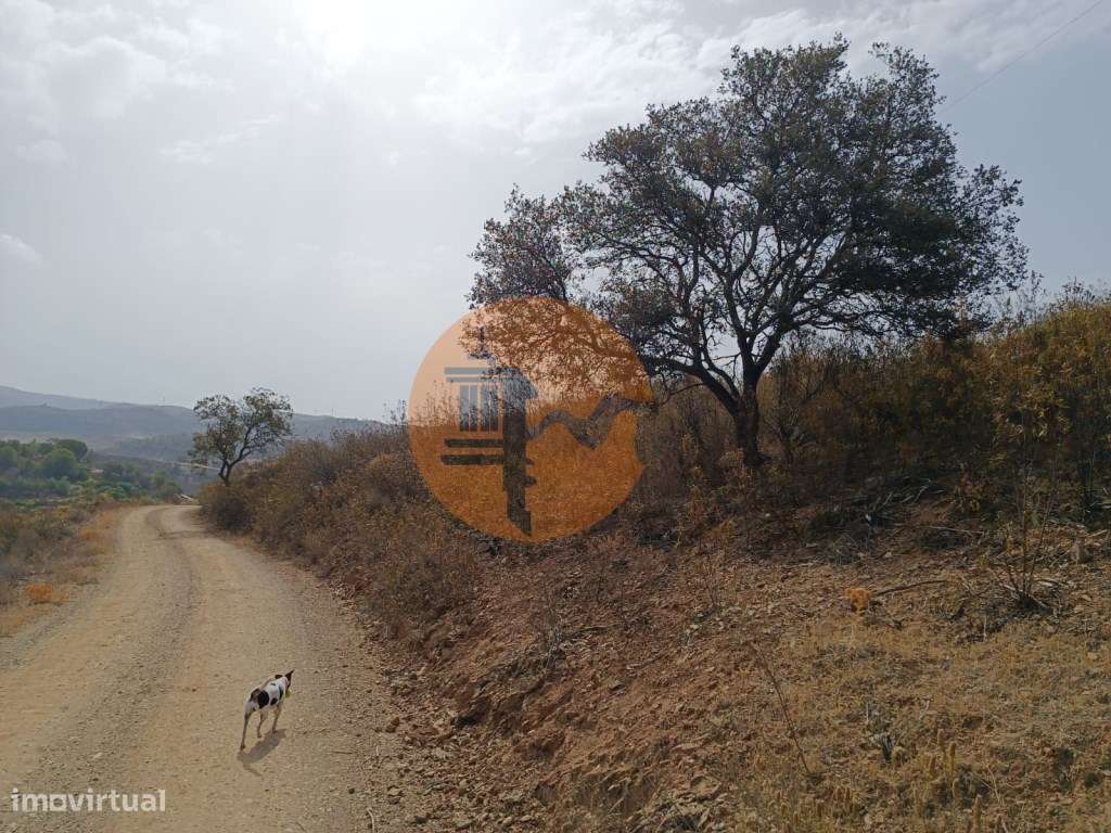 TERRENO COM 21040 M2 VISTA LAGO - PRÓXIMO AS ALCARIAS GRANDES - CAS... - Grande imagem: 5/28