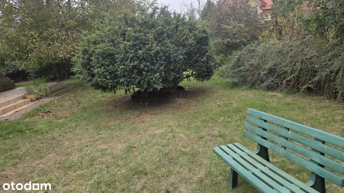 Dom, 260 m², Kiełpin Poduchowny - Pełny obrazek: 4/20