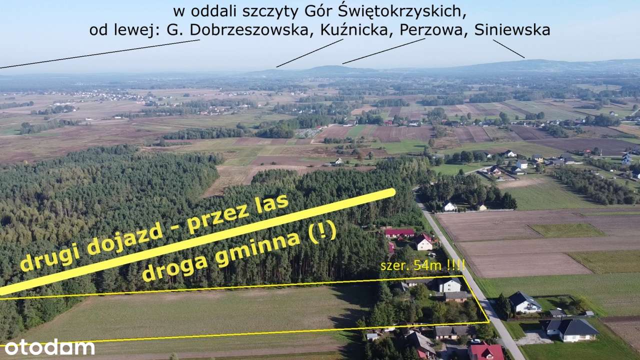 siedlisko z własnym lasem szerokość 54m !!!! idealne pod konie - Pełny obrazek: 5/20