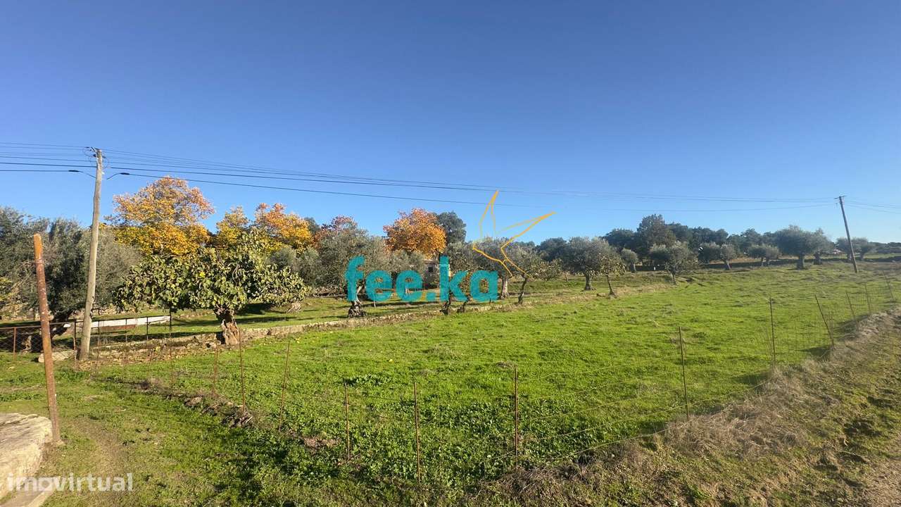 Quinta em Escalos de Baixo-15