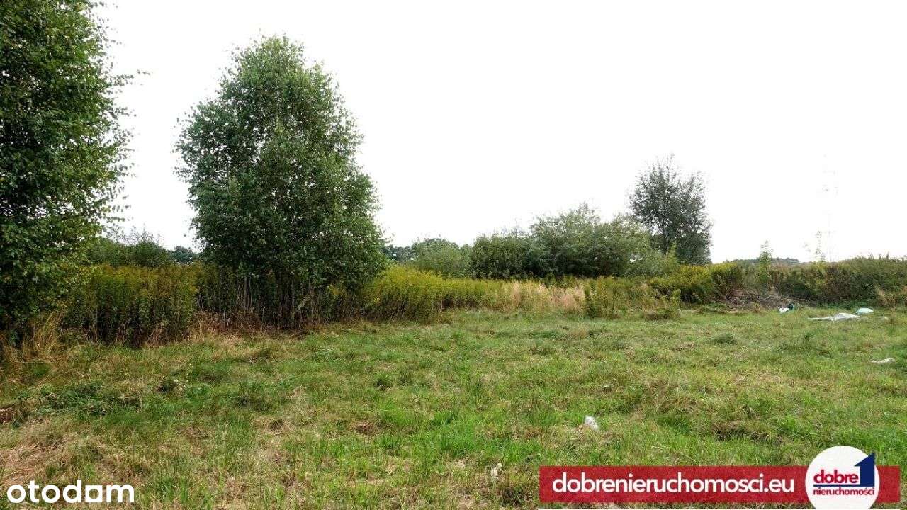 Rewelacyjnie położone cztery działki Strzelce - Pełny obrazek: 4/8