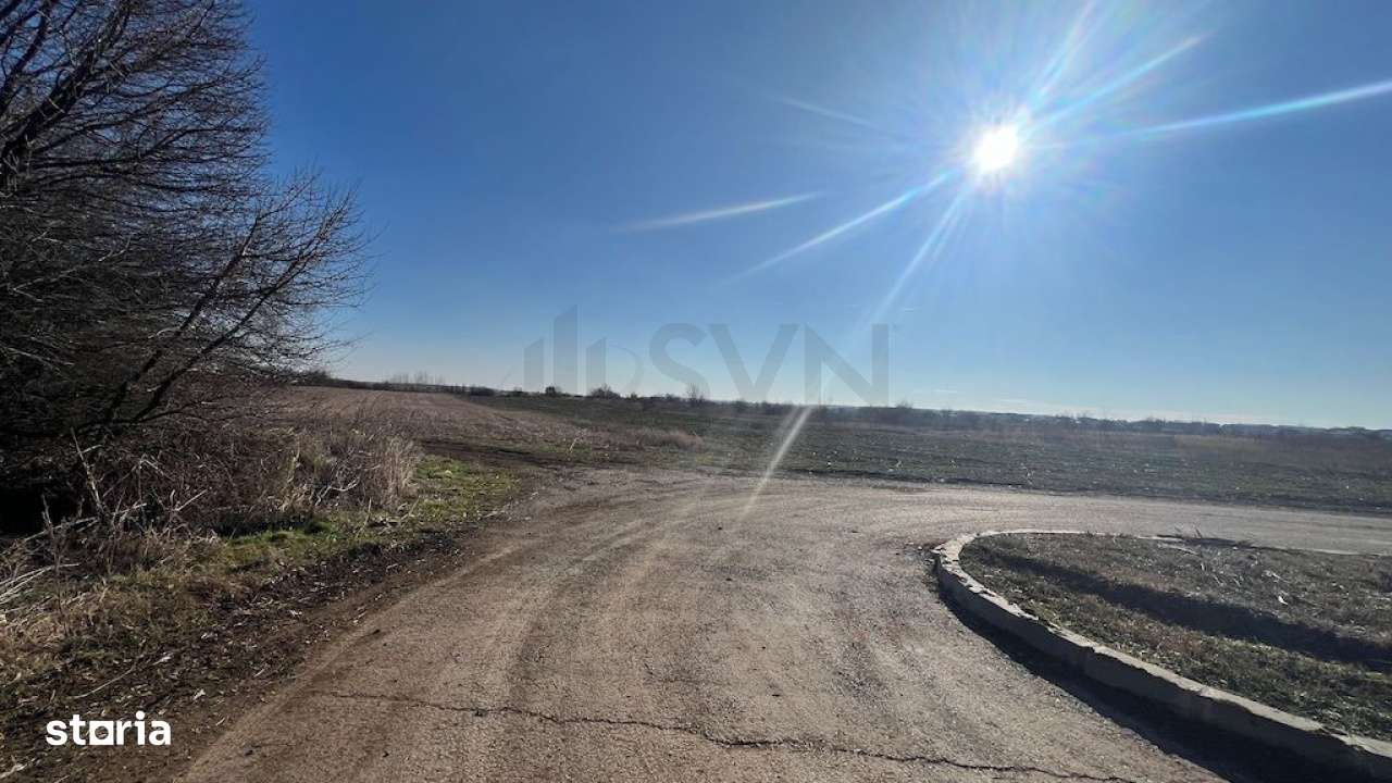 Corbeana - Ostratu 15200 mp langa padure - Imagine principală: 2/8