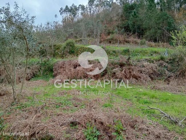 Oportunidade Única: Quinta para Habitação, Turismo ou Agricultura em M-33